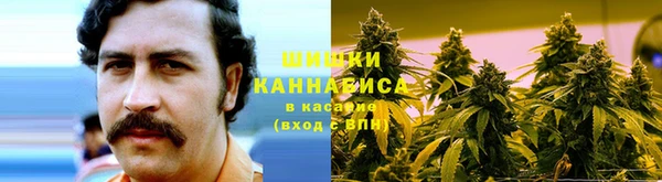 спиды Нефтекумск