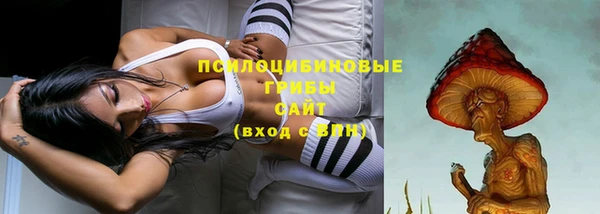 ALPHA-PVP Новодвинск