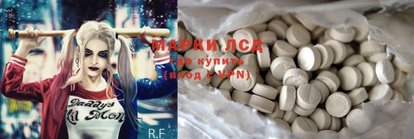 прущие крисы Новозыбков