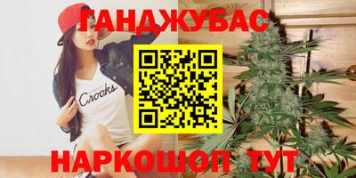 крисы Аргун