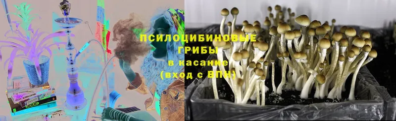 цены   мега рабочий сайт  Галлюциногенные грибы Psilocybine cubensis  Тавда 