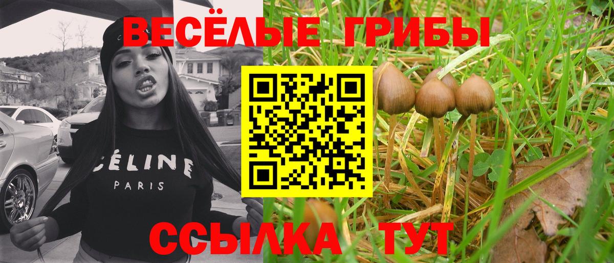 Тавда  Псилоцибиновые грибы MAGIC MUSHROOMS  Вход с VPN 