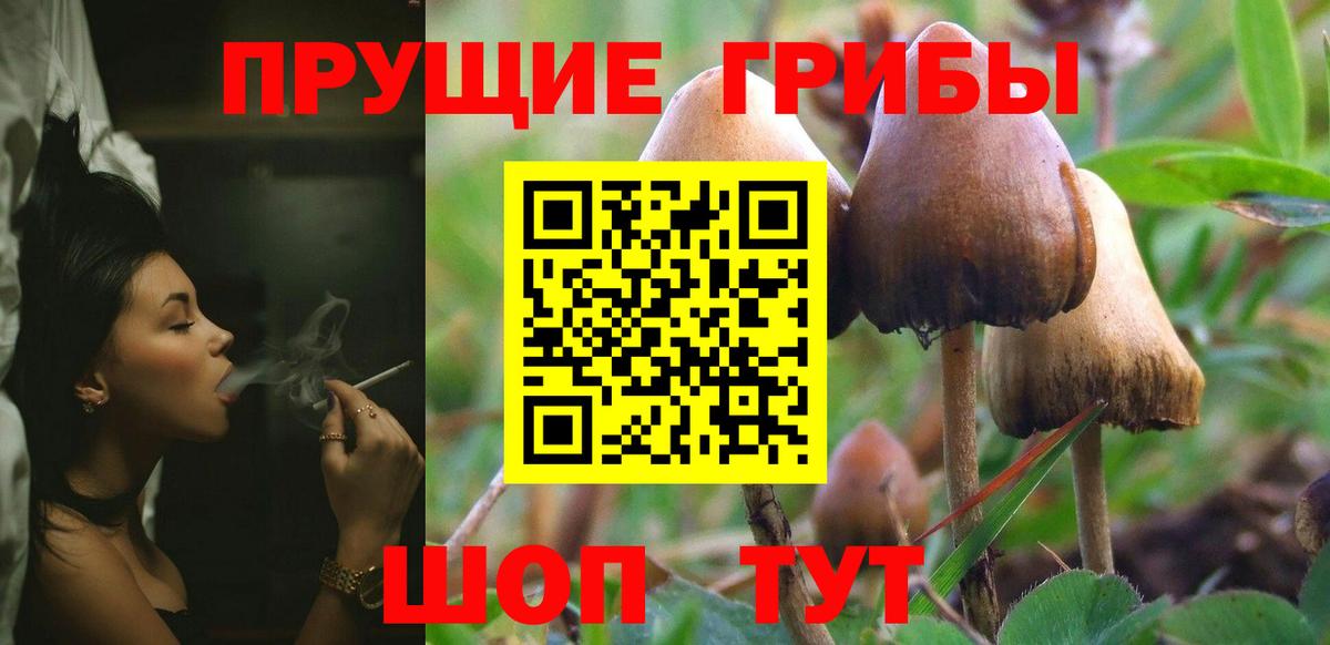 Псилоцибиновые грибы ЛСД  Галлюциногенные грибы Psilocybine cubensis  Тавда 