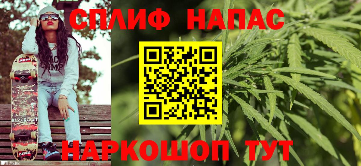 Канабис SATIVA & INDICA Тавда